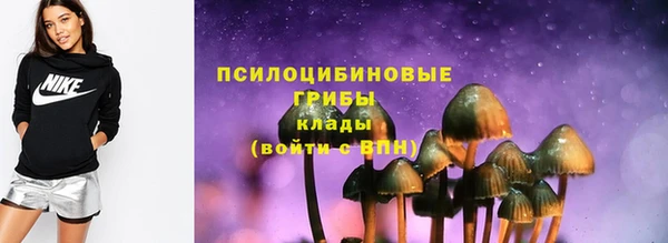 крисы Алзамай