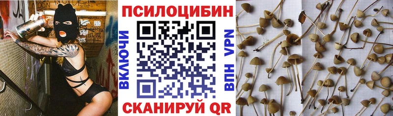 блэк спрут ссылки  купить наркотик  Серпухов  Галлюциногенные грибы ЛСД 